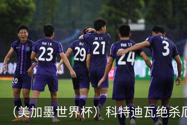 （美加墨世界杯）科特迪瓦绝杀厄瓜多尔 瑞典5:1大胜突尼斯